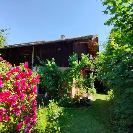 Gemuetliche Ferienwohnung Mit Kamin Und Garten Garmisch-Partenkirchen Eksteriør billede