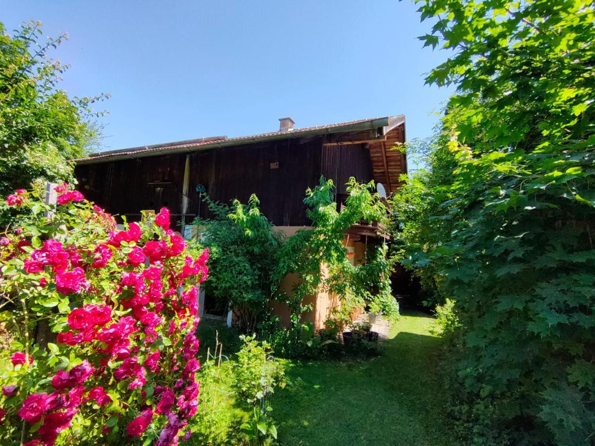 Gemuetliche Ferienwohnung Mit Kamin Und Garten Garmisch-Partenkirchen Eksteriør billede